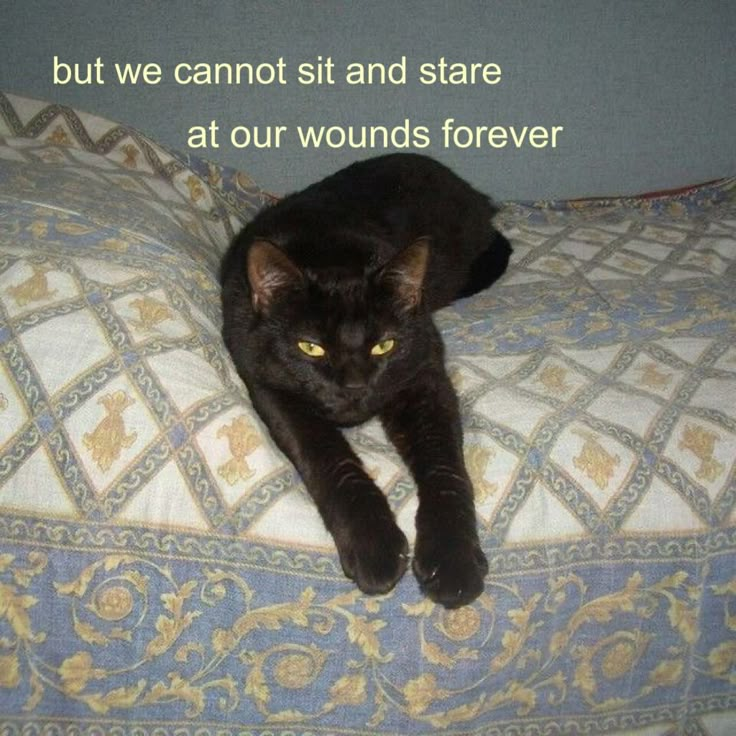 a black cat laying on top of a bed next to a pillow with the caption, but we cannot sit and stare at our wounds forever