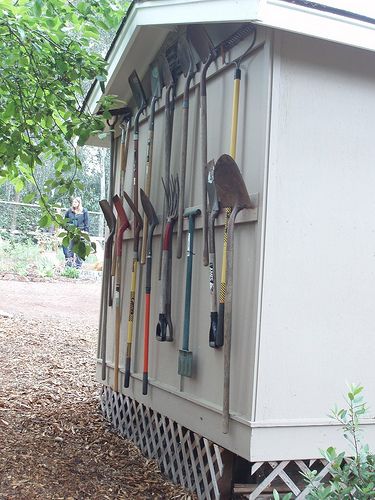 there are many different types of baseball bats hanging on the side of a shed with trees in the background