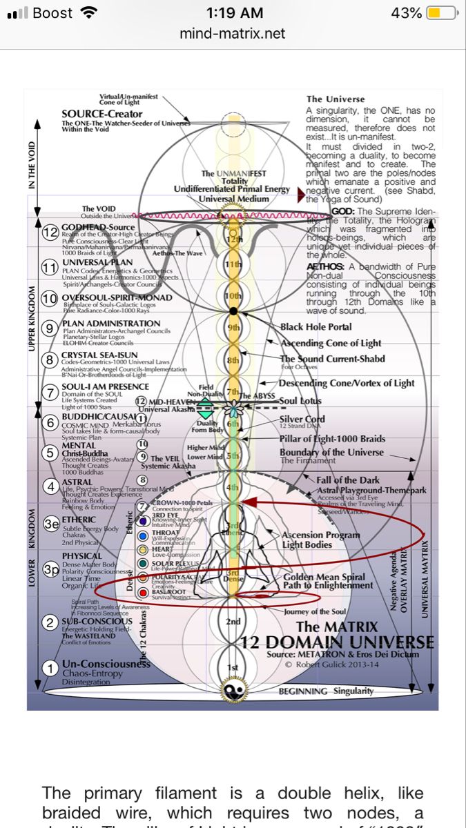 Map Of The Scale Of Consciousness, Energy Anatomy, Dimensions Universe, Geometry Symbols, Metaphysical Spirituality, Sacred Science, Spiritual Psychology, Sacred Geometry Symbols, Astral Plane