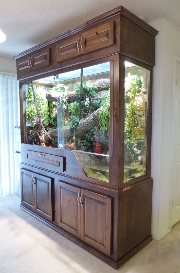 a fish tank sitting on top of a wooden cabinet