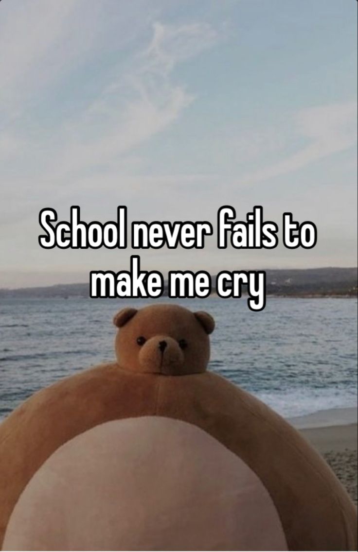 a teddy bear sitting on top of a beach next to the ocean with text saying school never falls to make me cry