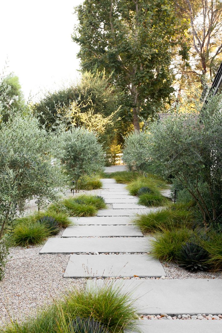 an outdoor walkway surrounded by plants and rocks