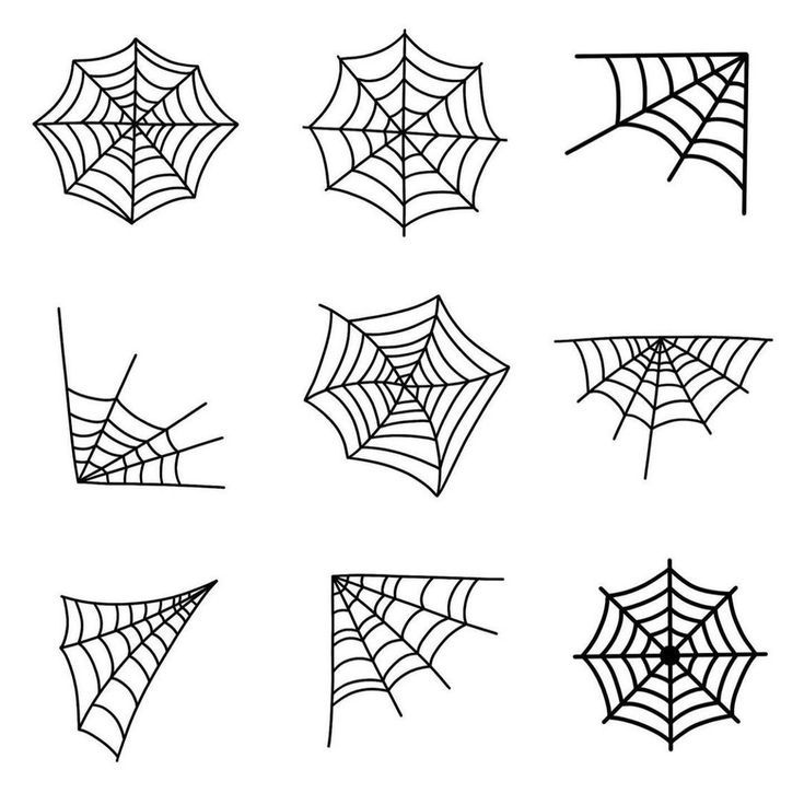 spider webs are drawn in black and white