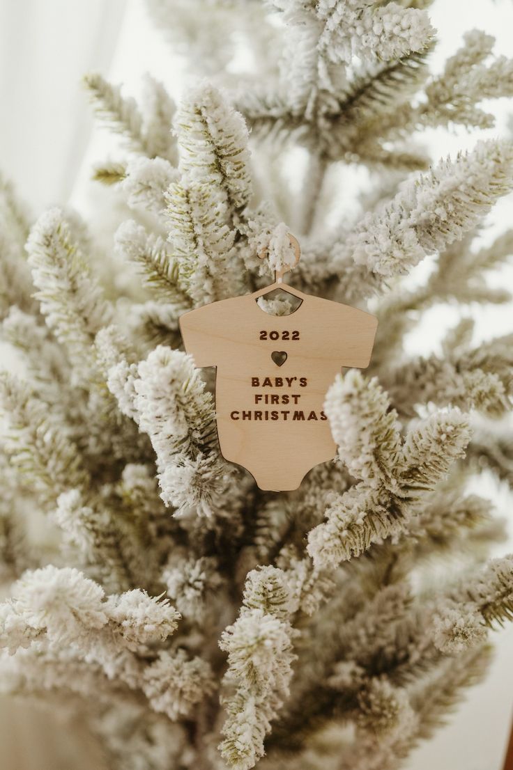 a baby's first christmas ornament hanging from a white pine tree branch