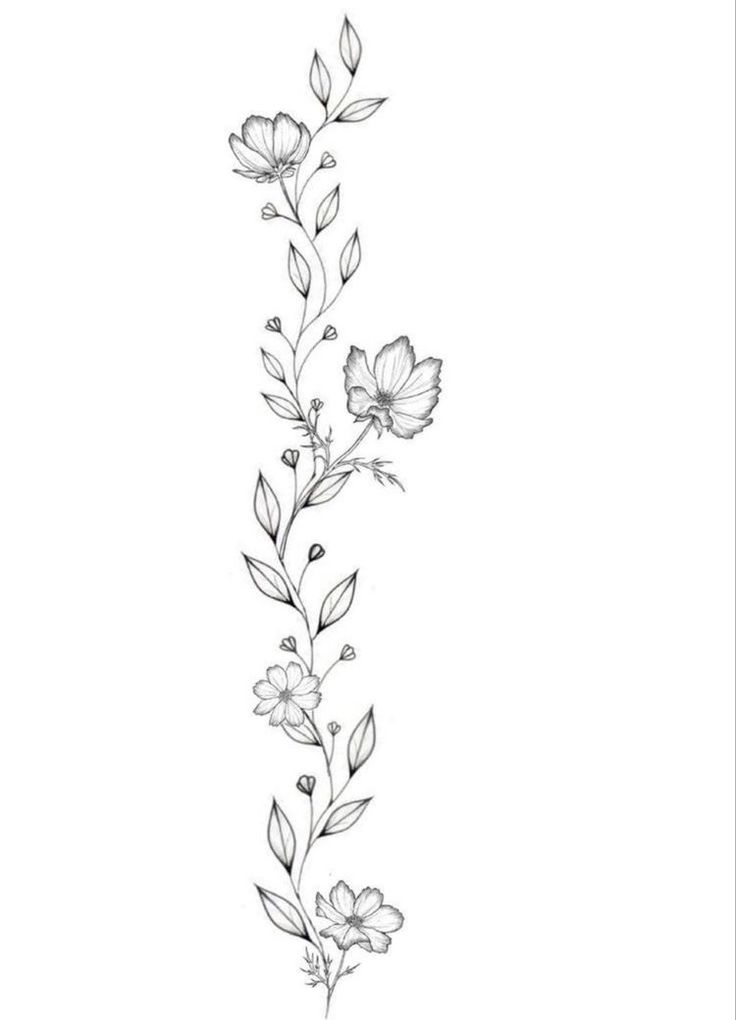 a line drawing of flowers and leaves on a white background