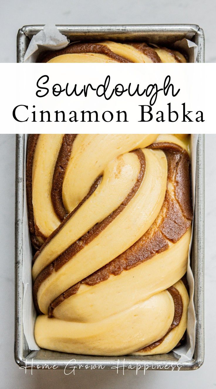 sourdough cinnamon babka in a pan with the words sourdough cinnamon ba