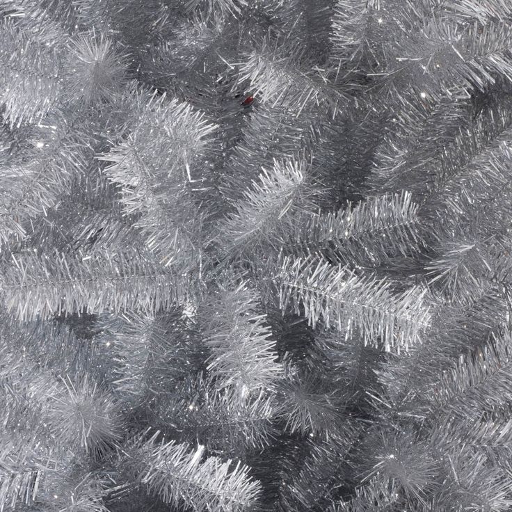 frosted pine tree branches are shown in this image