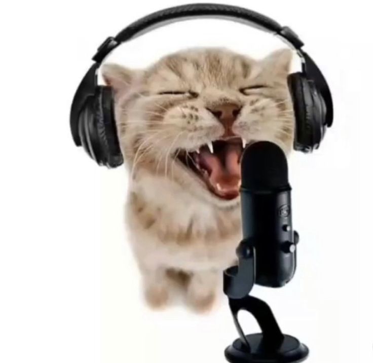 a cat with its mouth open and headphones hanging from it's ears, singing into a microphone