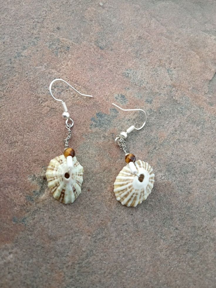 two seashells are hanging from silver earwires on the ground, one has a brown bead