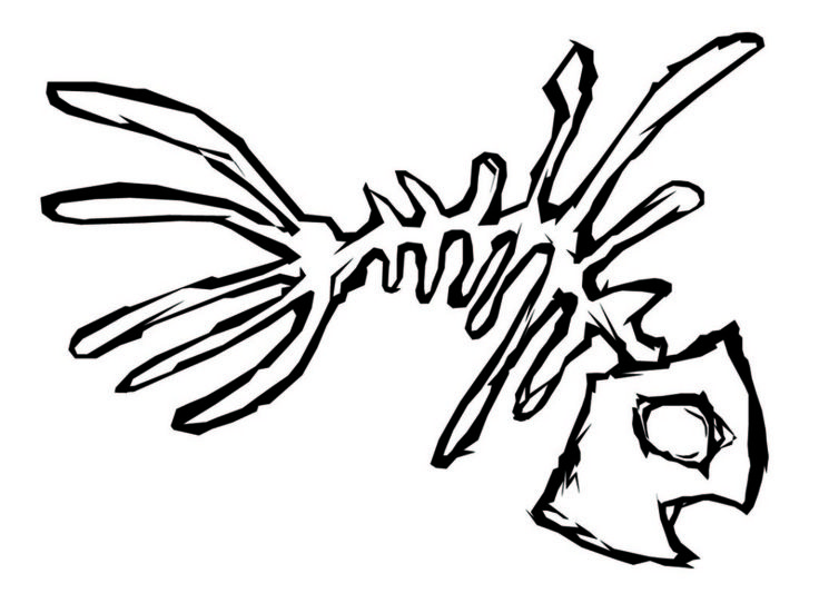 Fish Skeleton Drawing