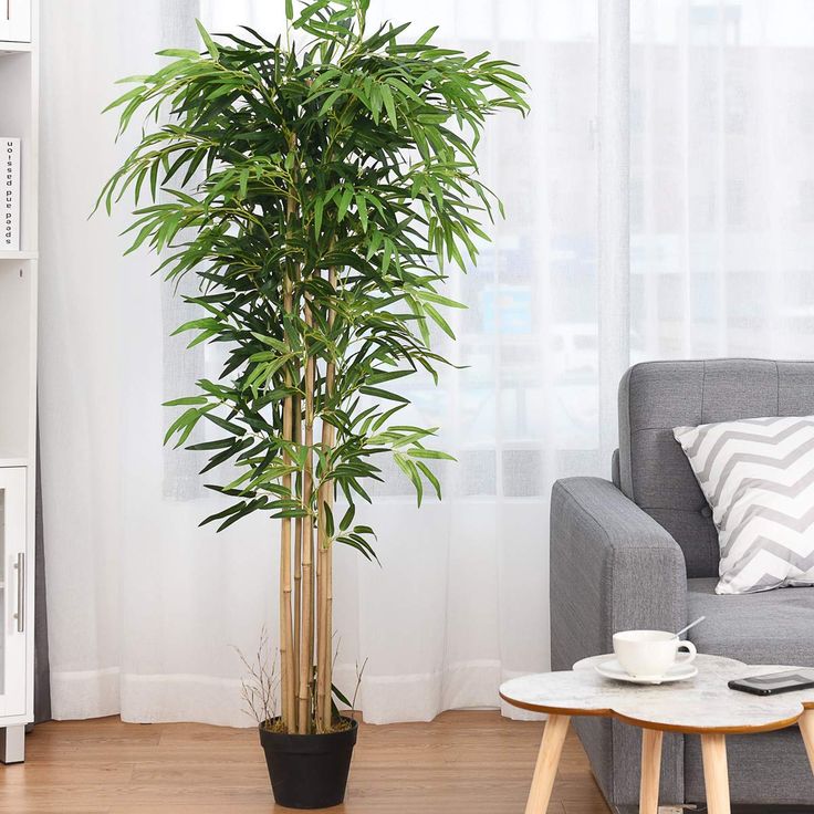 a living room filled with furniture and a potted plant