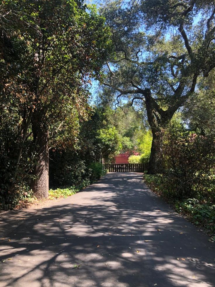 an empty road surrounded by trees and bushes with a bench at the end in the distance