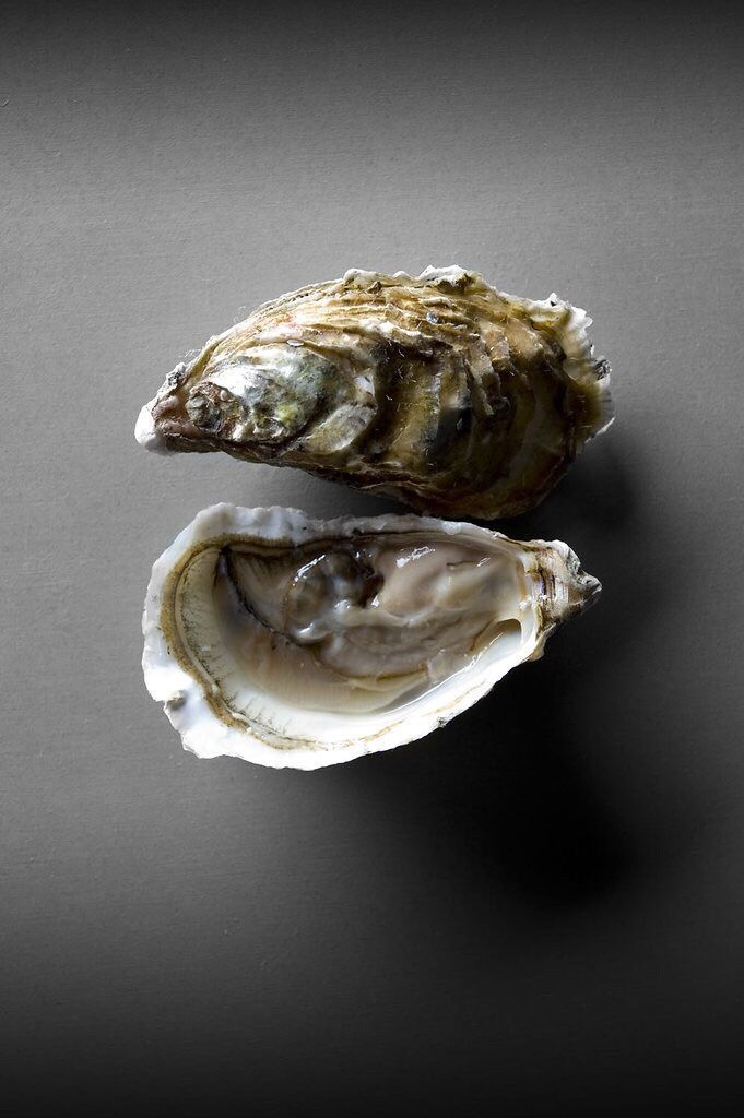 two oysters sitting on top of each other