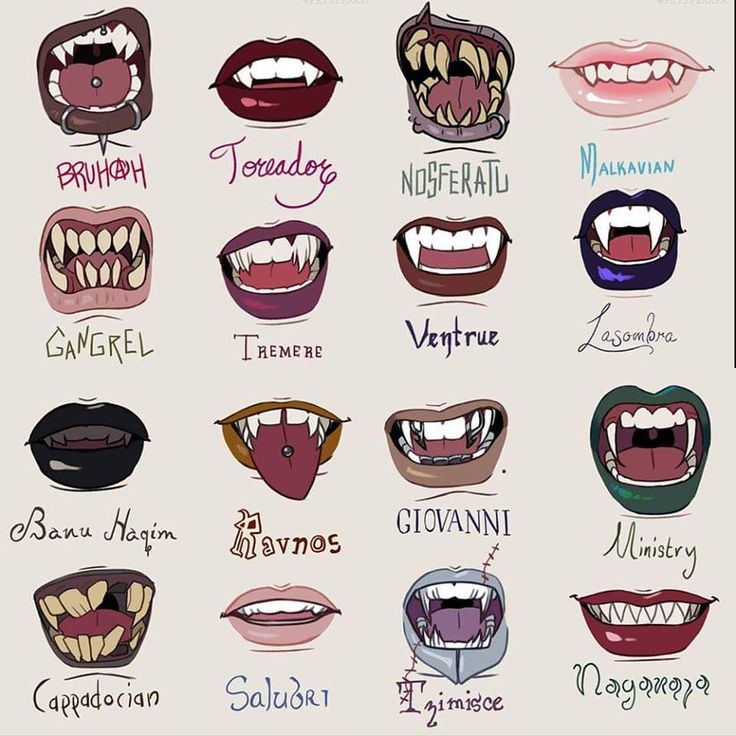 the different types of teeth and their meanings