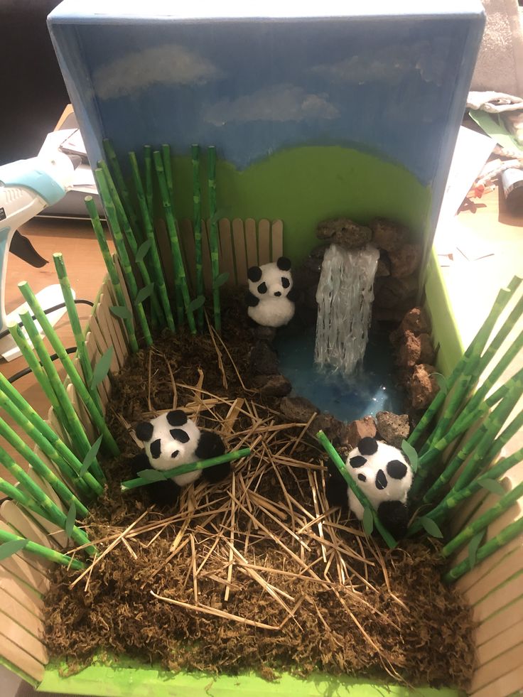 some panda bears are sitting in the grass near a pond and waterfall with bamboo sticks