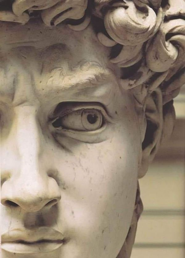 a close up of a statue of a man's head with curly hair and eyes