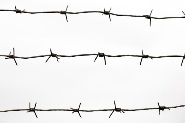 barbed wire with birds sitting on it against the white sky in the background is an airplane flying overhead