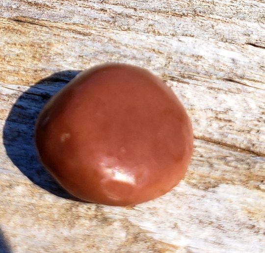 a round brown object sitting on top of a wooden table next to a person's shadow