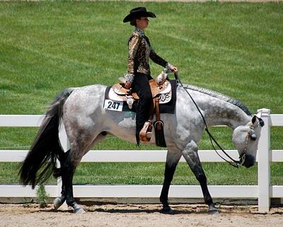 a woman riding on the back of a white horse