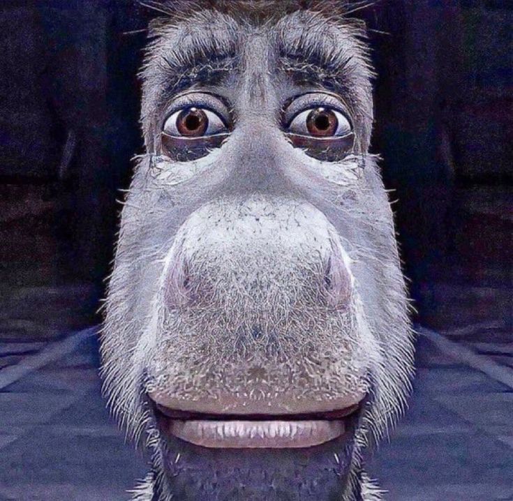 a close up of a monkey's face with an odd look on its face