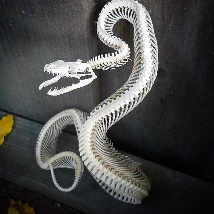 a white snake sculpture sitting on top of a wooden bench next to a yellow flower