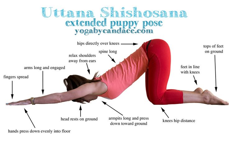 an image of a woman doing yoga poses with labeled labels on the back and side