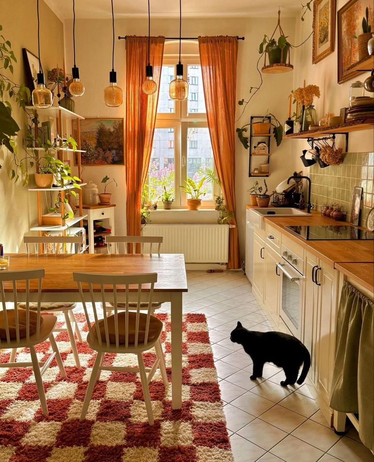 a black cat standing in the middle of a kitchen next to a dining room table