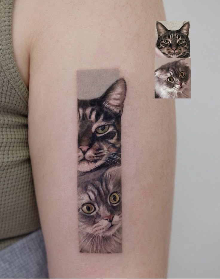 a woman's arm with two cats on it and one cat looking at the camera