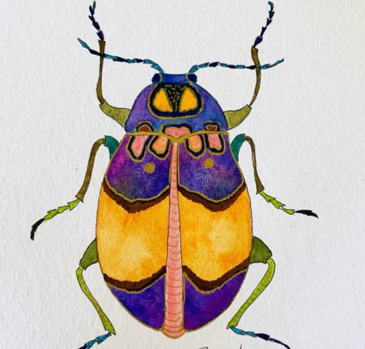 a drawing of a colorful bug on white paper