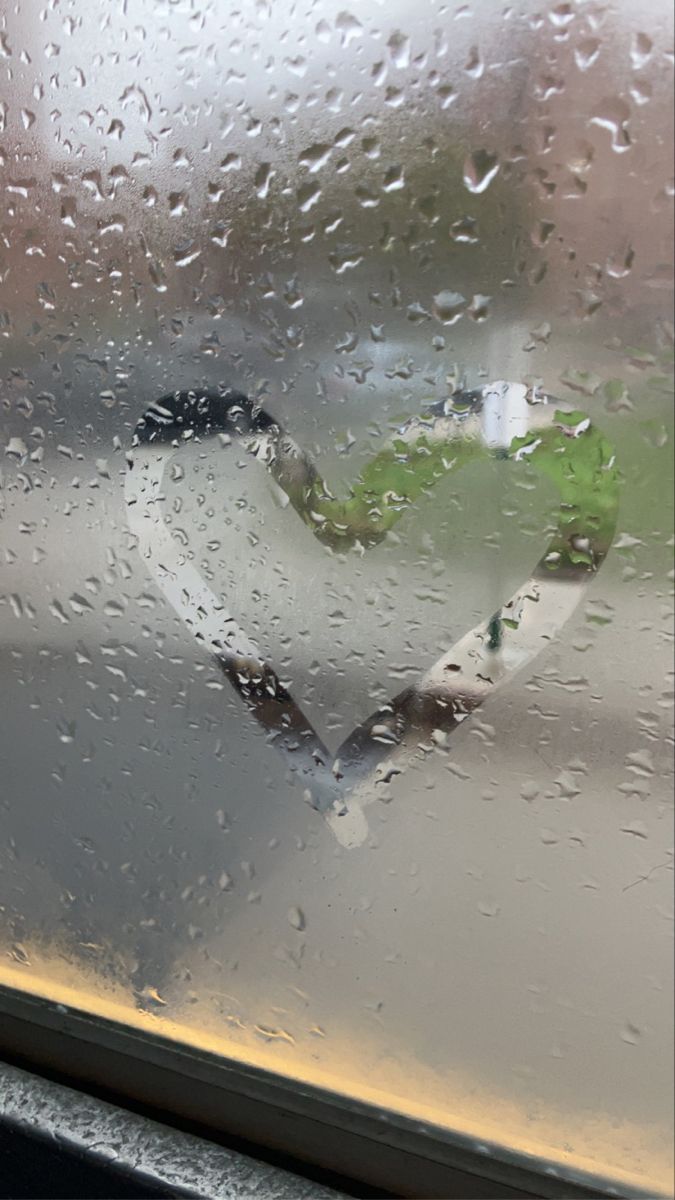 a window with raindrops on it and a green plant in the middle,