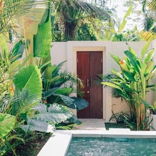 a small pool surrounded by tropical plants and greenery in front of a white house