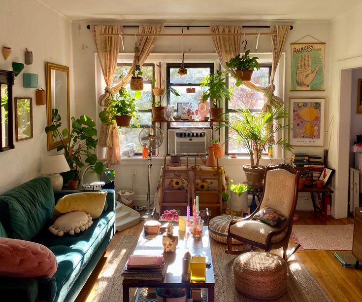 a living room filled with furniture and lots of plants on the windows sills