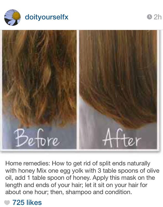 A DIY hair mask From Instagram. One Egg, Beauty Remedies, Hair Remedies, Split Ends, Hair Repair, Egg Yolk, Health And Beauty Tips, Beauty Treatments, Hair Health