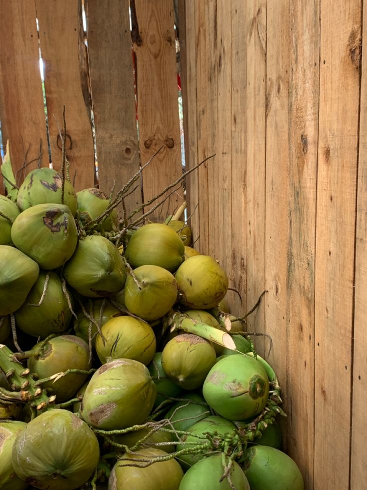 a pile of coconuts sitting next to a wooden fence