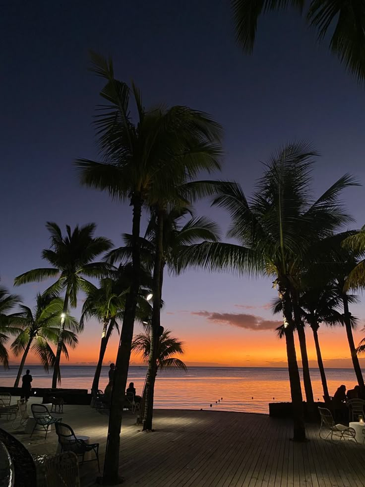 palm trees line the boardwalk at sunset with people sitting on benches in the foreground