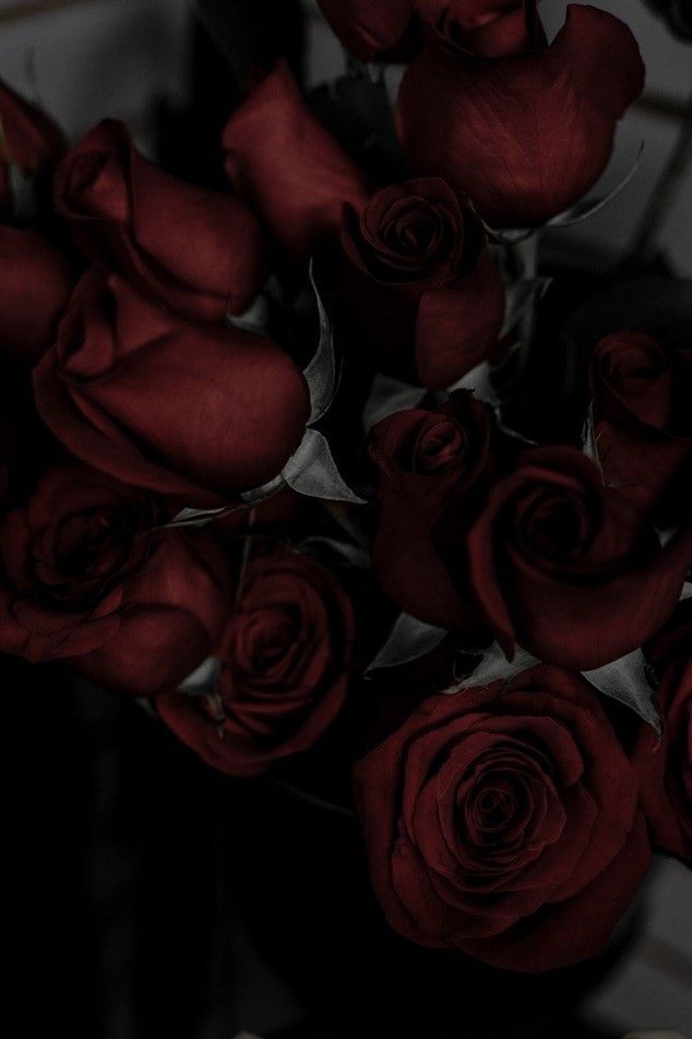 a bunch of red roses sitting on top of a table