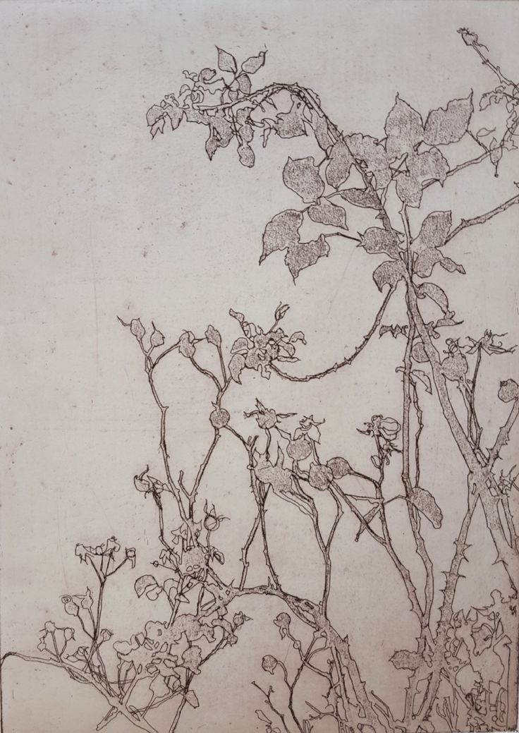 a drawing of a tree branch with leaves and flowers in the foreground, against a white background