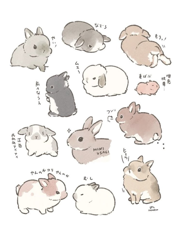 an image of rabbits in different colors