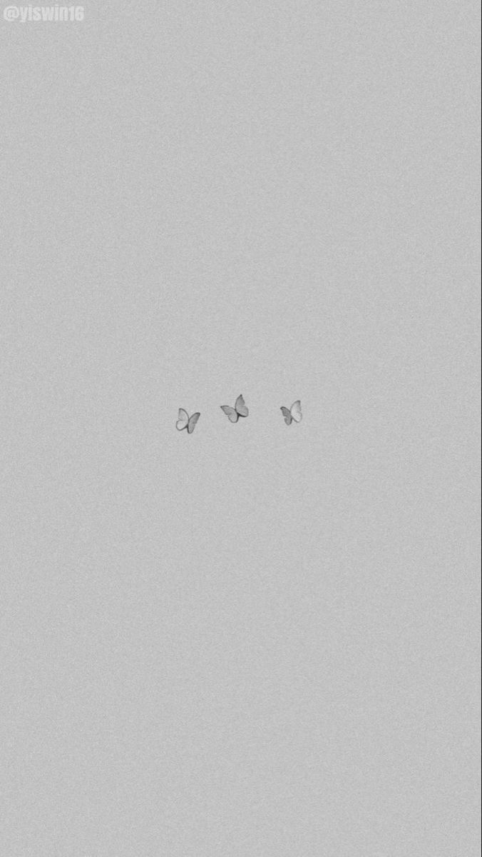 three birds flying in the sky on a foggy day