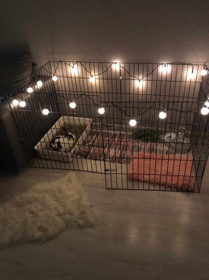 a cage with lights hanging from it and a dog laying on the floor next to it