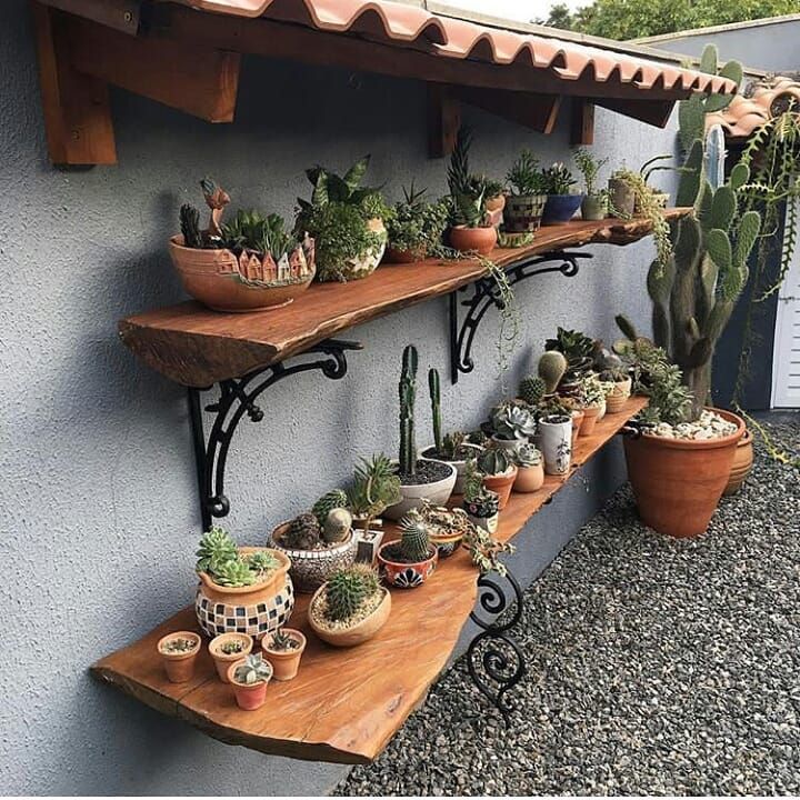 several potted plants are lined up on wooden shelves in front of a house wall