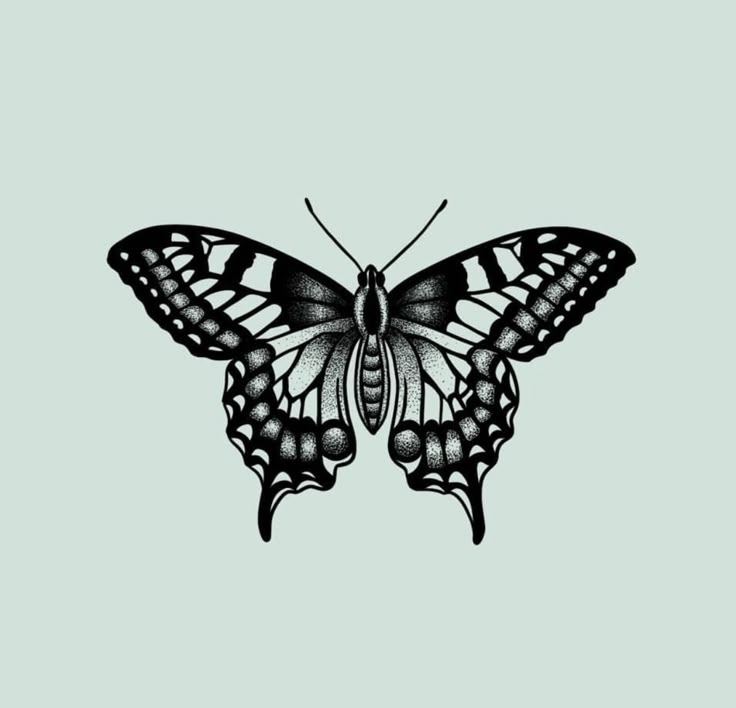 a black and white butterfly on a gray background