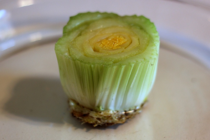 a piece of celery sitting on top of a white plate