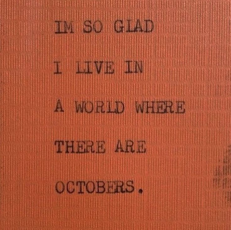 i'm so glad i live in a world where there are octobers written on an orange book cover