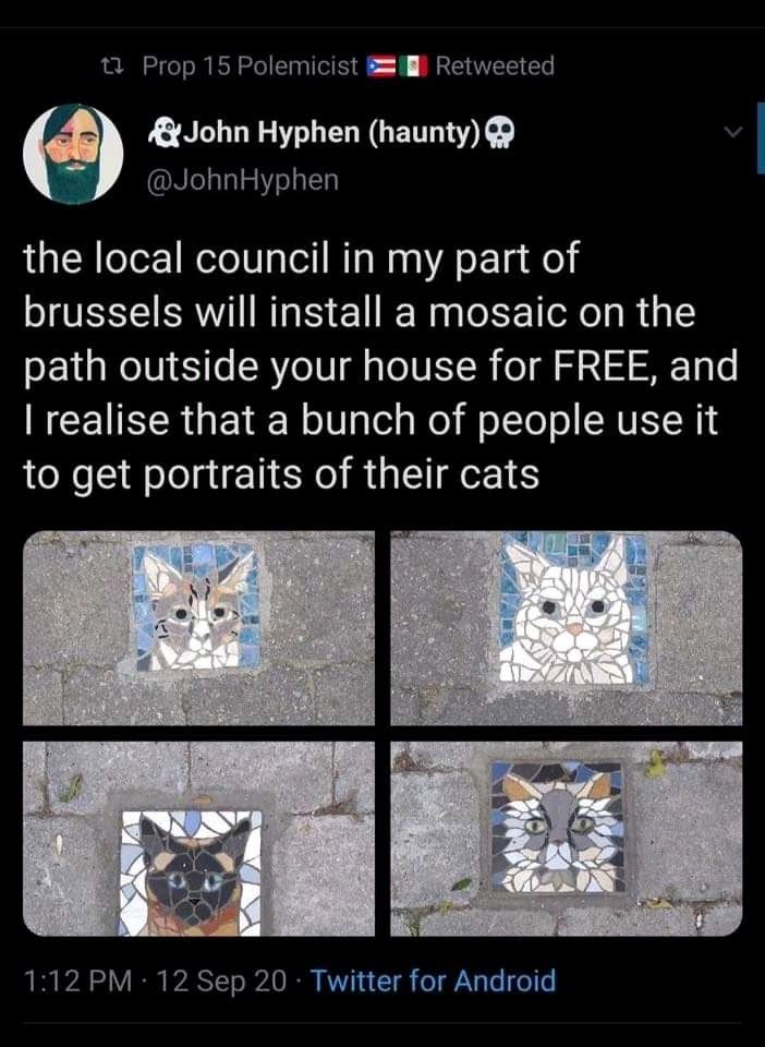 an image of cats on the ground with caption that reads, the local council in my part of brussels will install a mosaic on the path outside your house for free