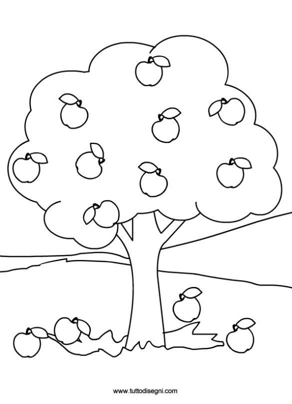 an apple tree with apples on it coloring page