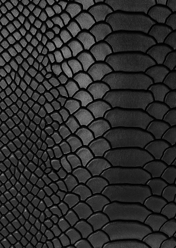 black snake skin textured up against a white background with the light coming through it