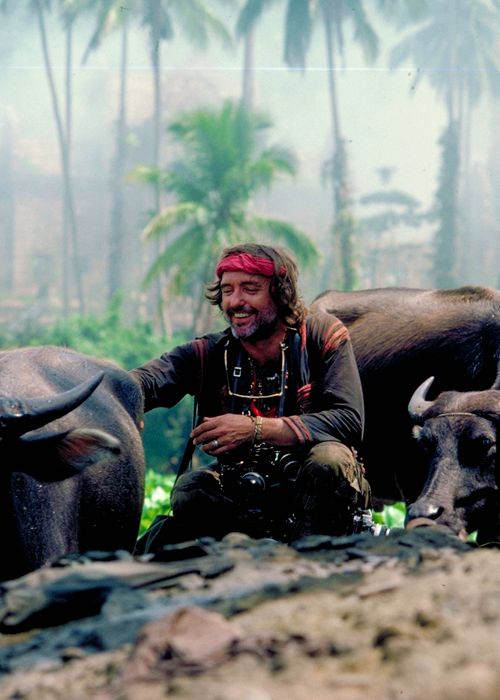 a man sitting next to two bulls in the jungle