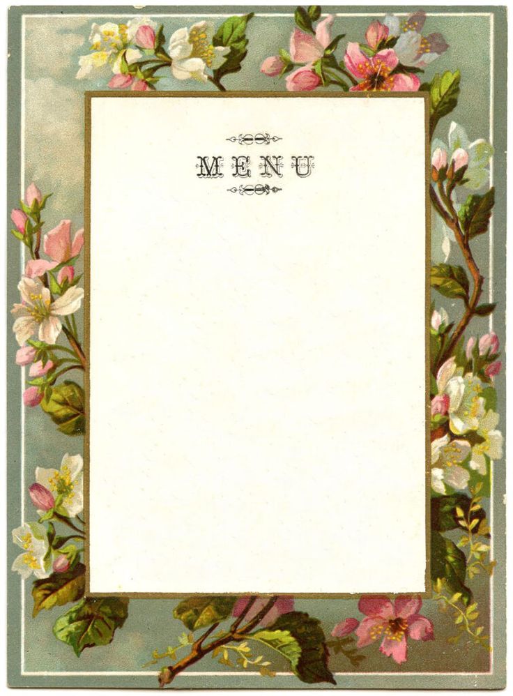 an old fashioned menu with flowers and leaves on the front, in pastel colors