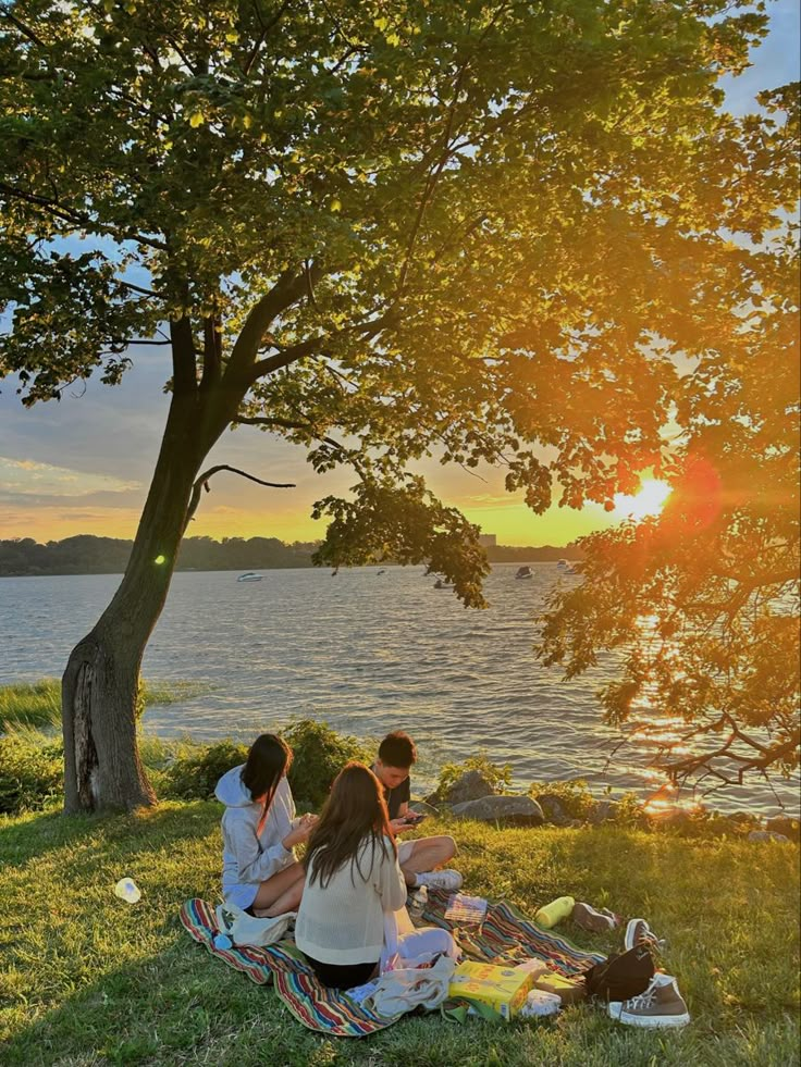 three people sitting on the grass near a tree and water at sunset, with one person reading a book